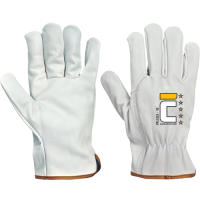 PALLIDA rukavice blistr 10