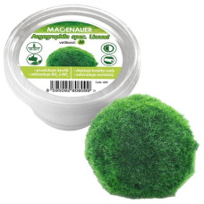 Rostlina živá řasokoule M 4-5cm