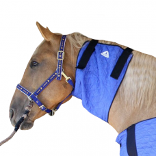 Chladící nákrčník pro koně HyperKewl Horse Neck modrý /L