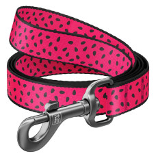 WAUDOG vodítko nylon Meloun   (S/122cm/1,5cm) 
