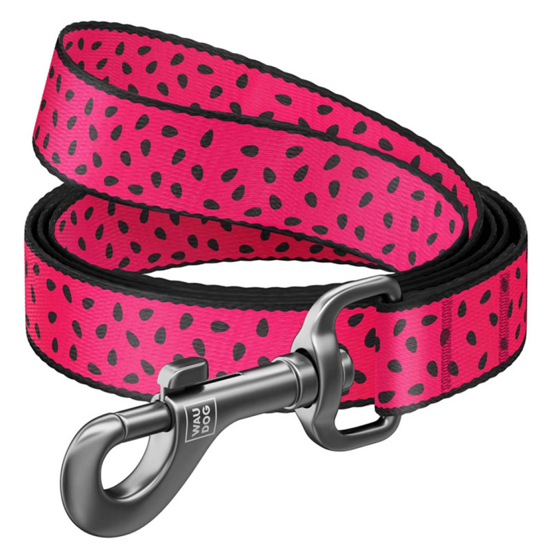 WAUDOG vodítko nylon Meloun   (S/122cm/1,5cm) 