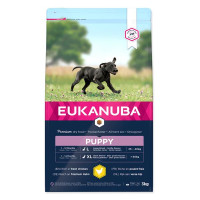 Eukanuba Puppy Large Breed 3 kg