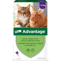 Advantage 80mg pro velké kočky a králíky, 1x 0,8ml roztok pro nakapání na kůži - spot-on, fialový