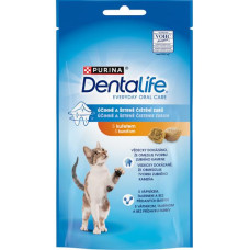 Purina DentaLife Cat chicken 40 g