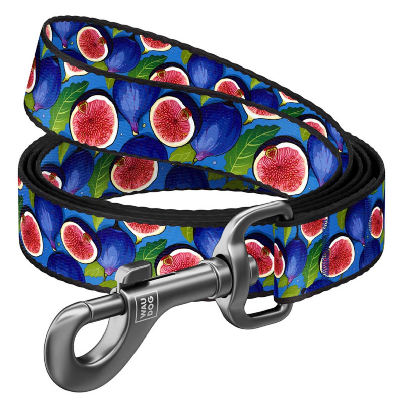 WAUDOG vodítko nylon Fíky  (M/122cm/2cm) 