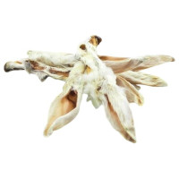 Pets Best, králičí uši se srstí, 90 g