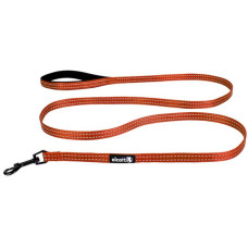 Vodítko nylon Visibility oranžové 1,5x180 Alcott