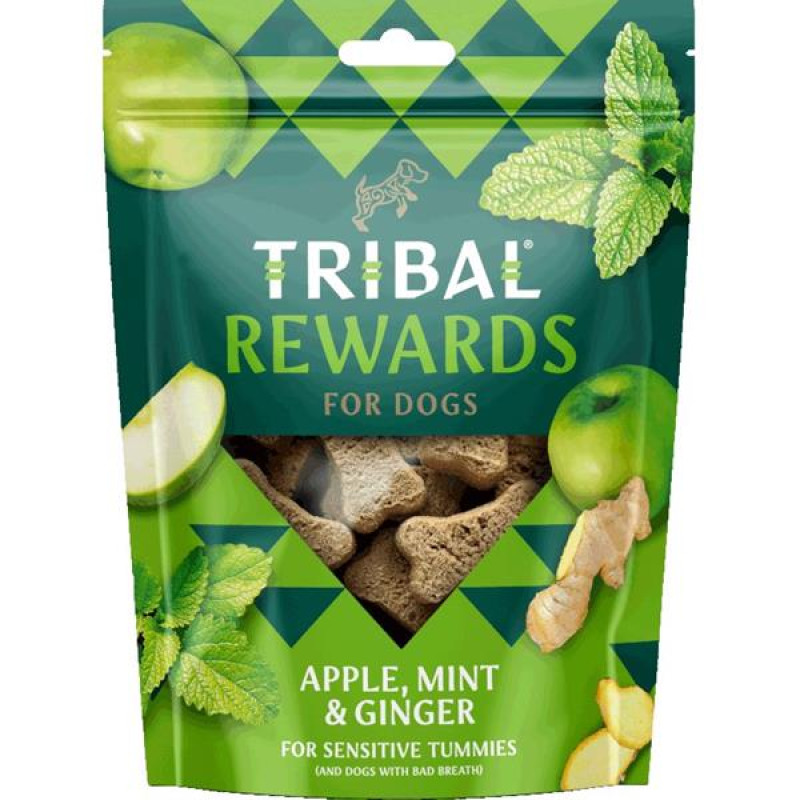 TRIBAL Sn. Apple, Mint&Ginger 125g