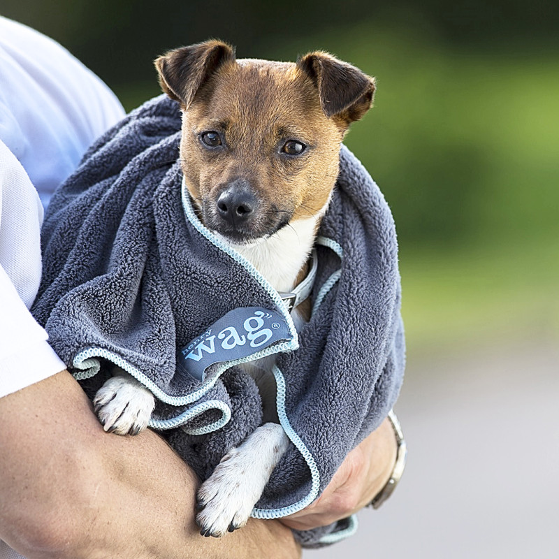 Henry Wag ručník pro psy z mikrovlákna L 100x150cm