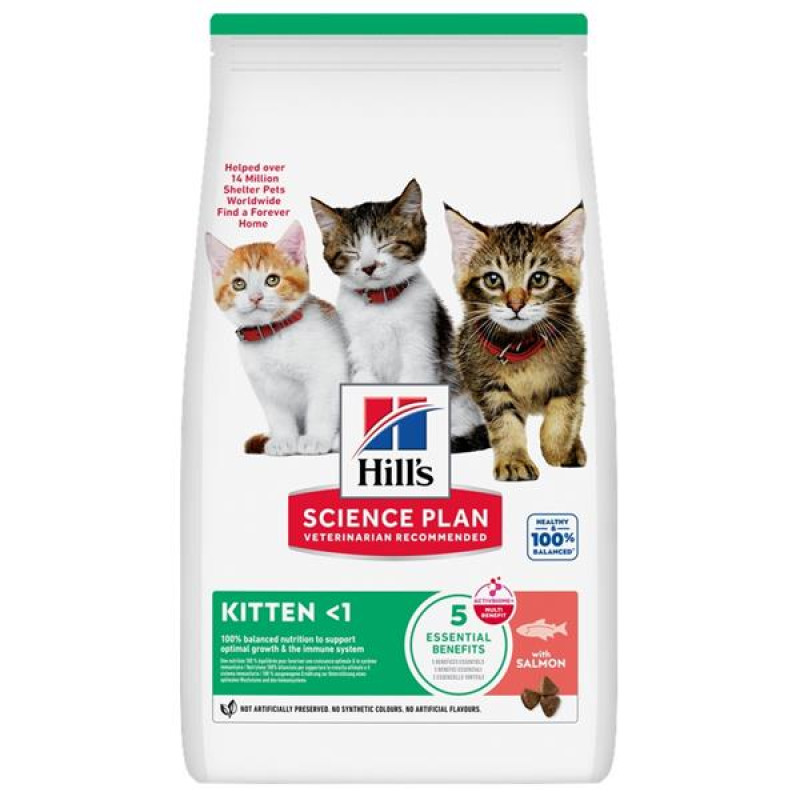 Hill's Science Plan Feline Kitten Salmon 7 kg