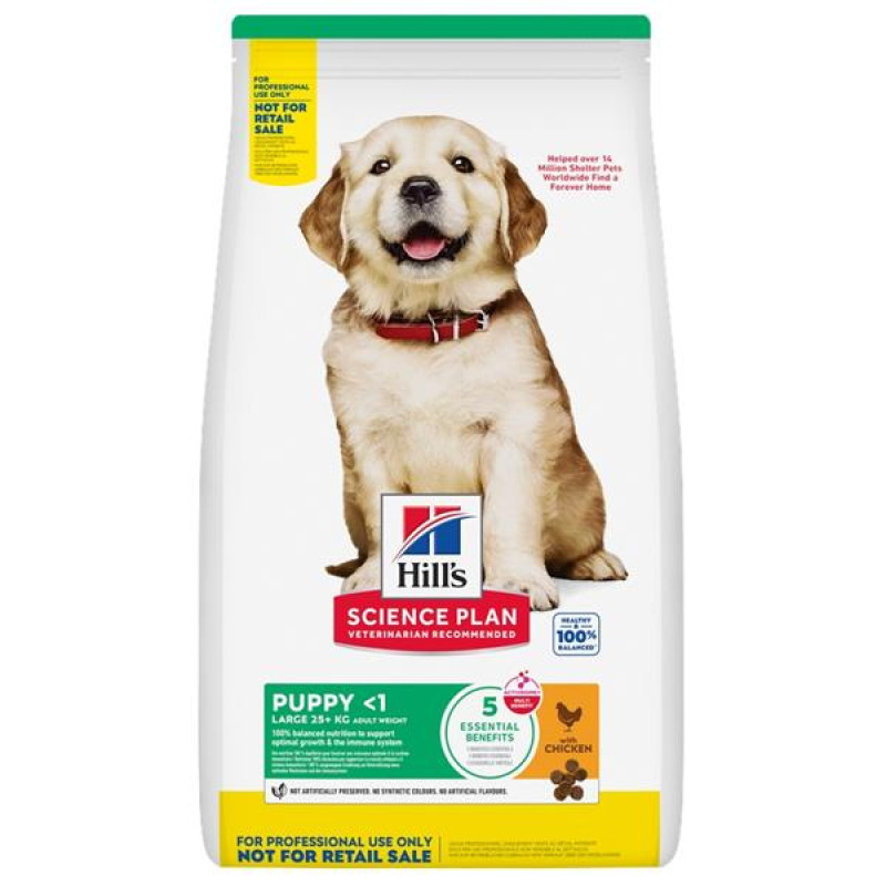 Hill's Science Plan Canine Puppy Large Chicken 6 kg