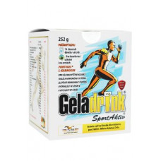 Geladrink SportAktiv sáčky 252g