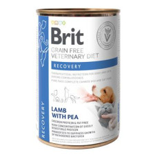 Brit VD Dog+Cat GF konz. Recovery 400g