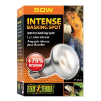 Žárovka terar. Exo Terra Intense Basking Spot 50W