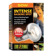 Žárovka terar. Exo Terra Intense Basking Spot 50W