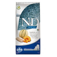 N&D OCEAN DOG Puppy M/L Codfish & Pumpkin & Melon 12kg