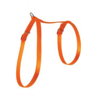 Postroj kočka nylon 10mm oranžový Zolux