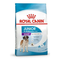 Royal Canin Giant Junior Active 15kg