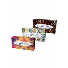 Kapesníky papírové Linteo 2vrstvé box 100ks