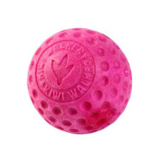 Hračka pes BALL MINI plov. z TPR růžová Kiwi