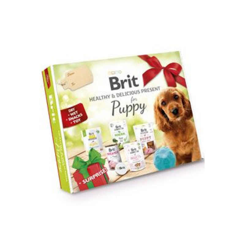 Brit Care Box Dog Puppy Healthy&Delicious 2023