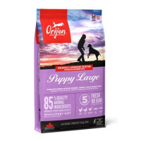 Orijen Dog Puppy Large 6kg NEW