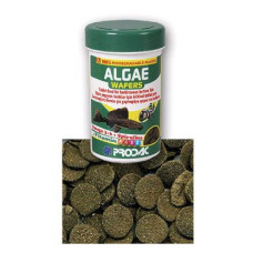 Krmivo pro ryby Prodac Algae Wafers 50g