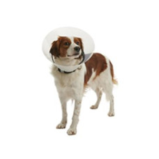 Límec ochranný BUSTER plastový Clic Collar 35cm