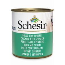 Schesir Dog konz. Adult kuře/špenát 285g