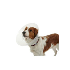 Límec ochranný BUSTER plastový Classic Collar 25cm