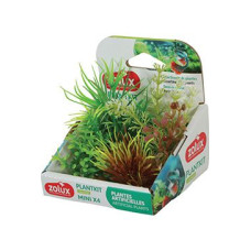 Rostliny akvarijní PLANTKIT 4 sada MINI 4ks Zolux