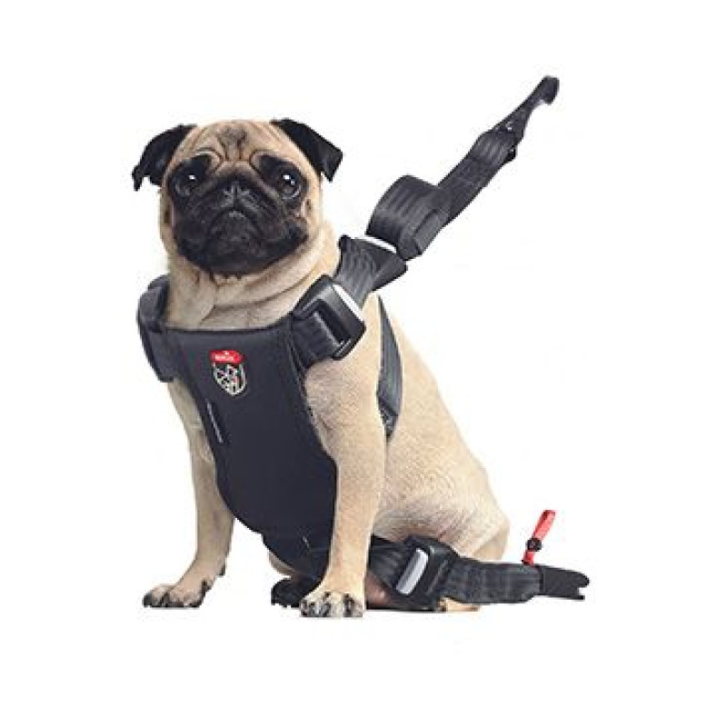 Postroj TRAVEL SAFE S Isofix černý Zolux