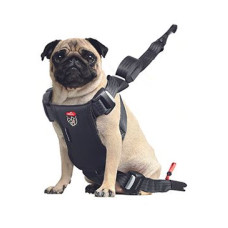 Postroj TRAVEL SAFE M Isofix černý Zolux