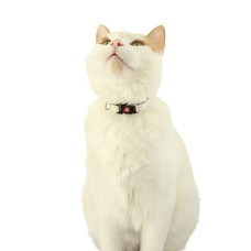 Obojek kočka CHATOUILLE s motýlkem béžová Zolux