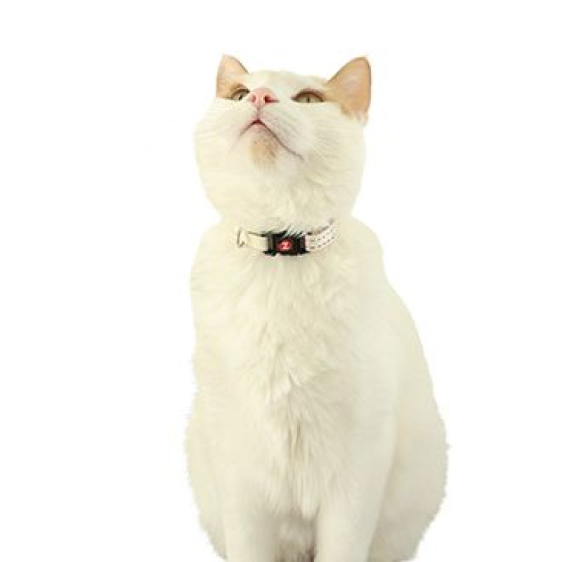 Obojek kočka CHATOUILLE s motýlkem béžová Zolux