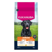 Eukanuba Dog Junior Large rich in fresh Chicken 15kg