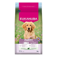 Eukanuba Dog Puppy Large rich in Lamb 3kg