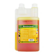 Aminosol sol 1000ml