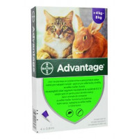 Advantage pro velké kočky a králíky 80mg 4x0,8ml