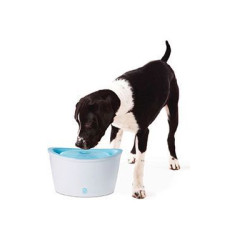 Fontána DOGIT plast velká 6l