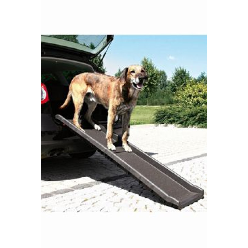 Rampa PET RAMP protiskluzová do 90kg 40x156cm TR