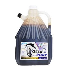 Gelapony Arthro Biosol 3000ml