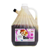 Gelapony Selenium Biosol 3000ml