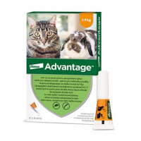 Advantage pro malé kočky a králíky 40mg 4x0,4ml