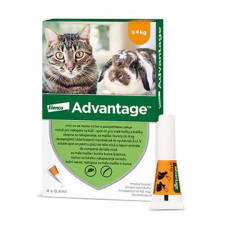 Advantage pro malé kočky a králíky 40mg 4x0,4ml