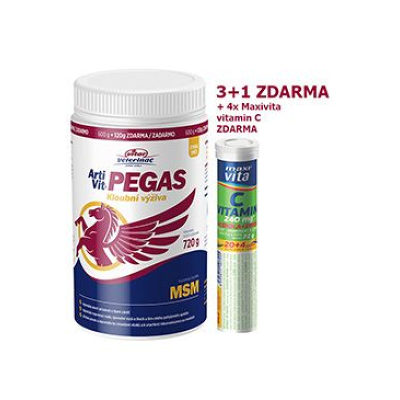 VITAR Veterinae ArtiVit Pegas MSM 720g