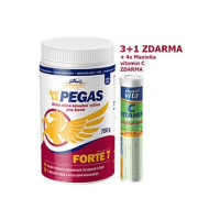 VITAR Veterinae ArtiVit Pegas Forte 7 prášek 700g