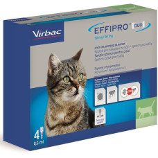 Effipro Duo Cat 50/60 mg spot-on 4 x 0.5 ml