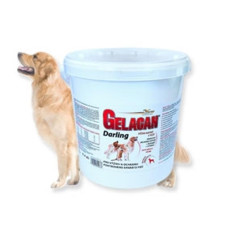 Gelacan plus Darling plv 5kg