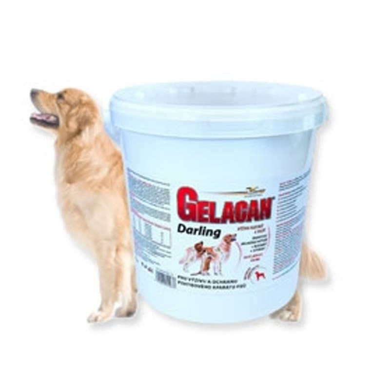 Gelacan plus Darling plv 5kg